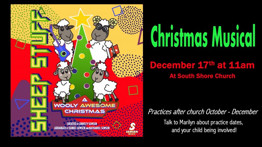 Christmas Musical Sheep Stuff
